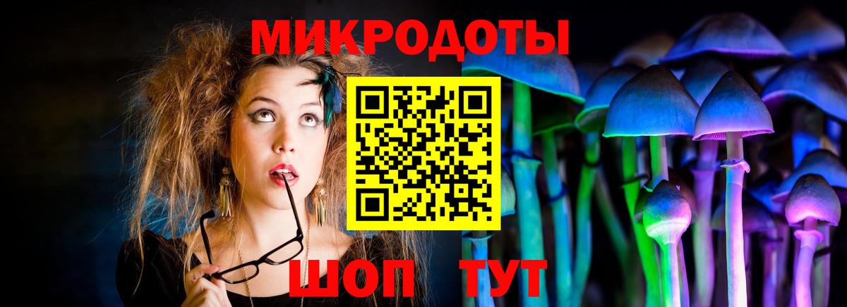 Псилоцибиновые грибы Psilocybine cubensis  Вход с VPN  Галлюциногенные грибы Cubensis  Алапаевск 