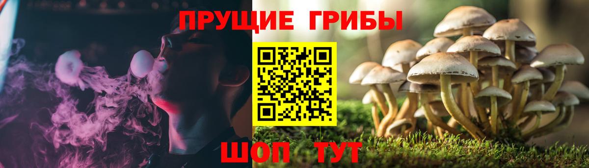 Галлюциногенные грибы мухоморы Алапаевск